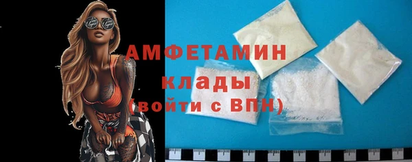 стафф Гусев