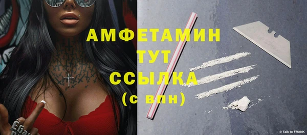 стафф Гусев