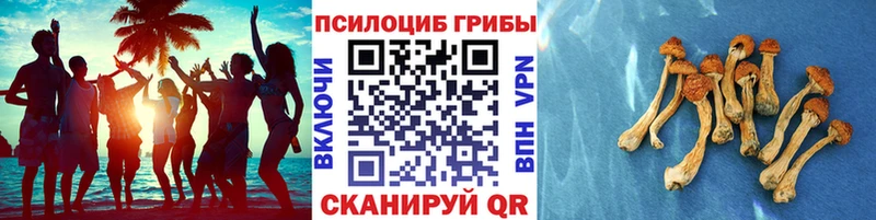 Псилоцибиновые грибы MAGIC MUSHROOMS  хочу   kraken маркетплейс  нарко площадка телеграм  Свирск 